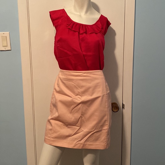 Pink Pencil Skirt with Lining - Picture 3 of 3